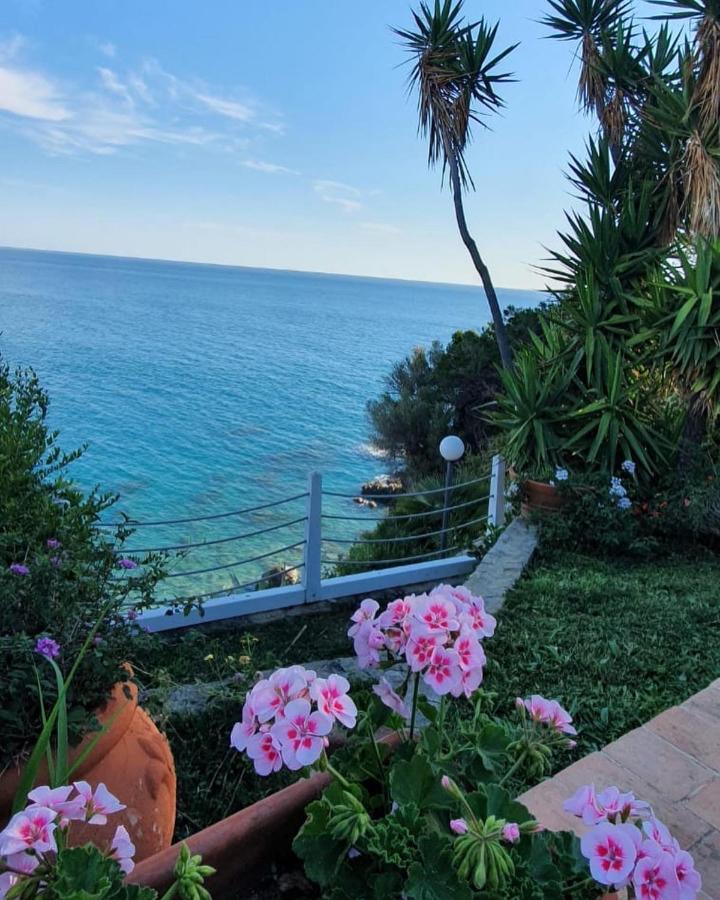 Apartament Casa Guido Cittadella del Capo Zewnętrze zdjęcie